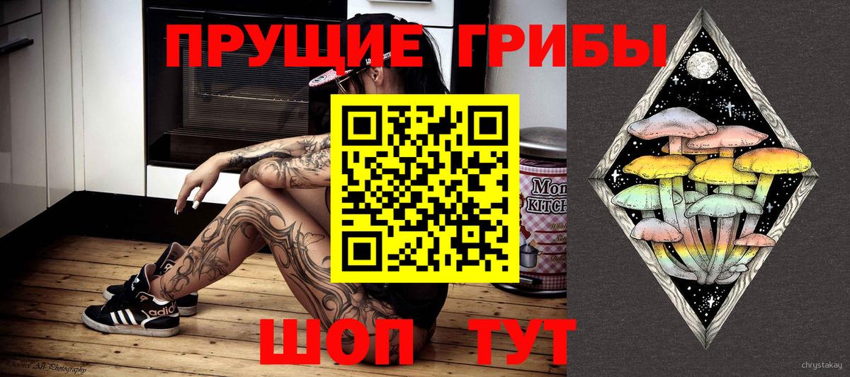 купить закладку  Псилоцибиновые грибы прущие грибы  Вход с VPN  Сафоново 